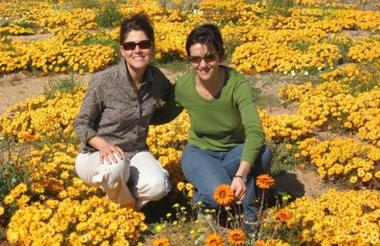 Naries in Namaqualand Flower Season
